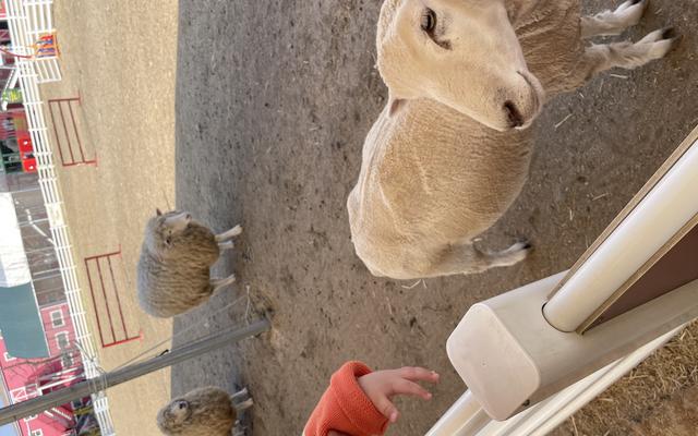 리뷰 대표 이미지