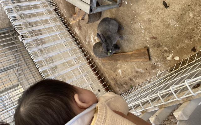 리뷰 대표 이미지