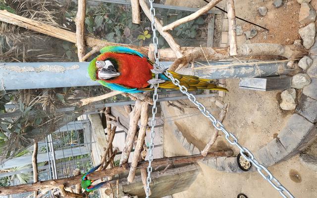 리뷰 대표 이미지