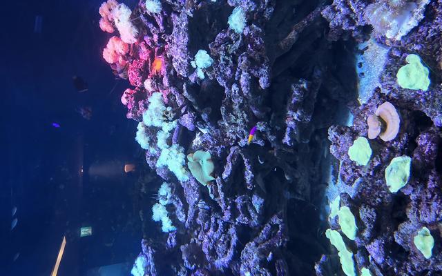 리뷰 대표 이미지