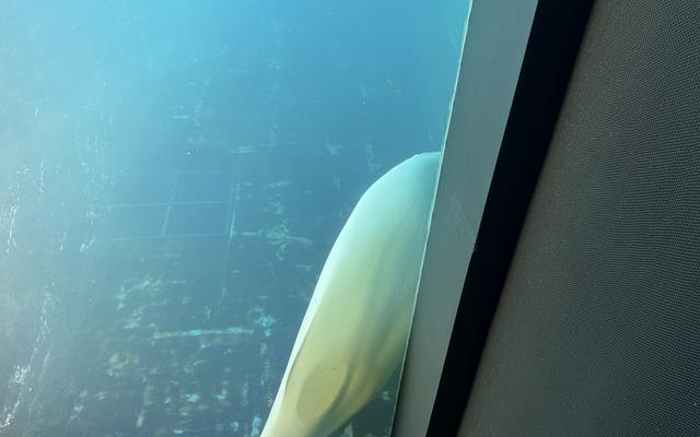 리뷰 대표 이미지