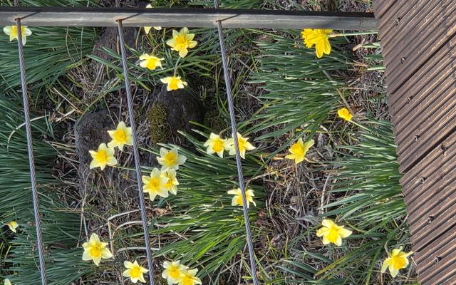 리뷰 대표 이미지