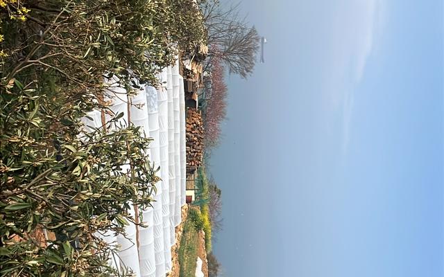 썸네일_4
