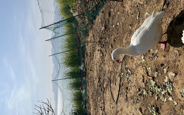 썸네일_2