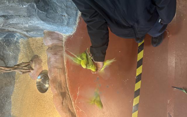 리뷰 대표 이미지