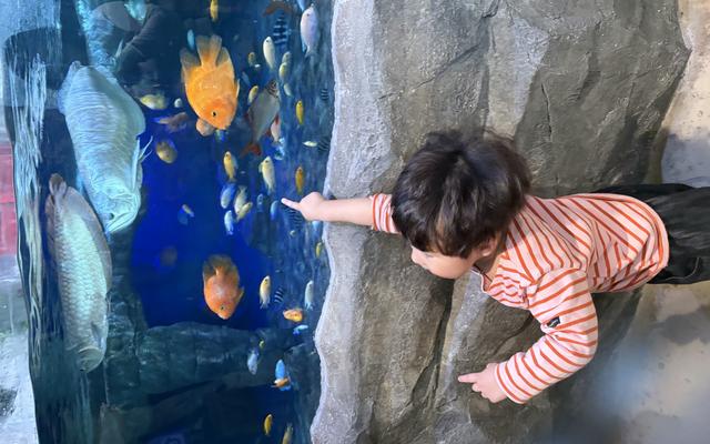 리뷰 대표 이미지