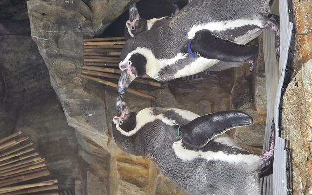 리뷰 대표 이미지