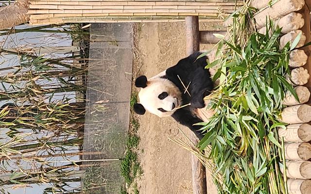 리뷰 대표 이미지