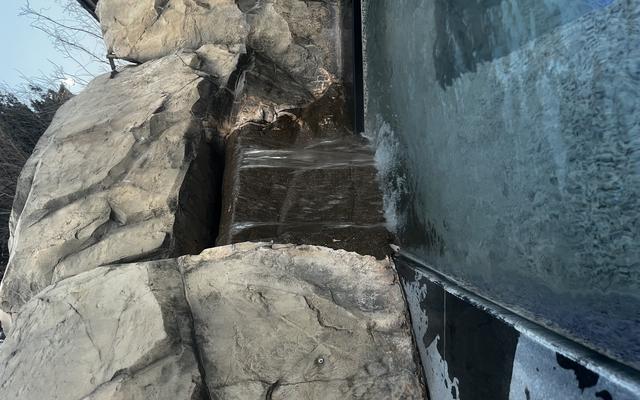 리뷰 대표 이미지