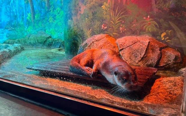 리뷰 대표 이미지