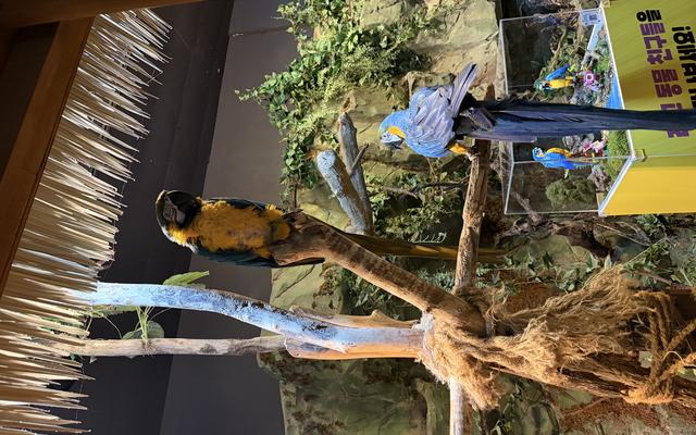 리뷰 대표 이미지