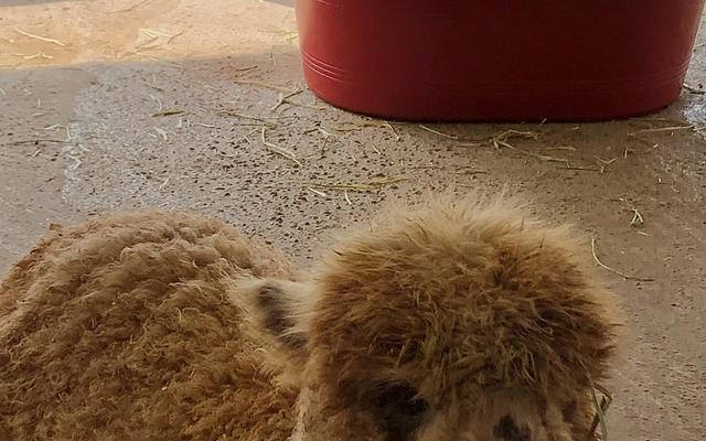 리뷰 대표 이미지