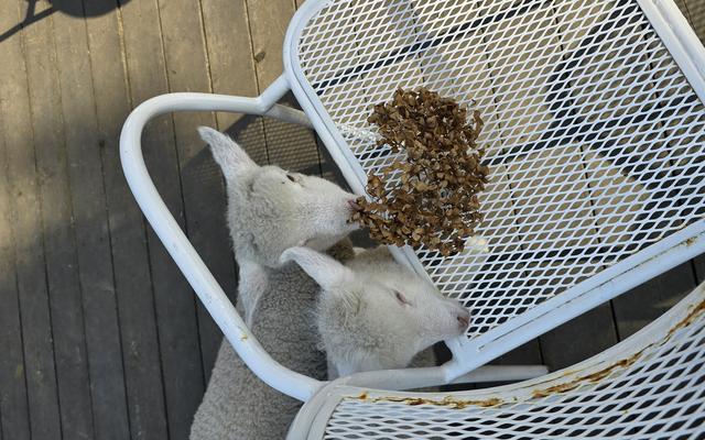 리뷰 대표 이미지