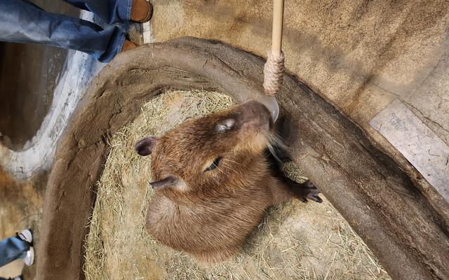 리뷰 대표 이미지