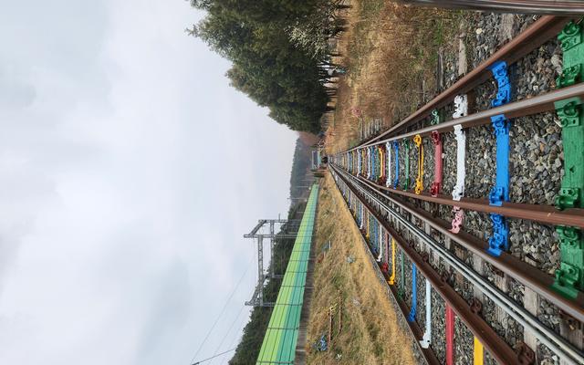 리뷰 대표 이미지