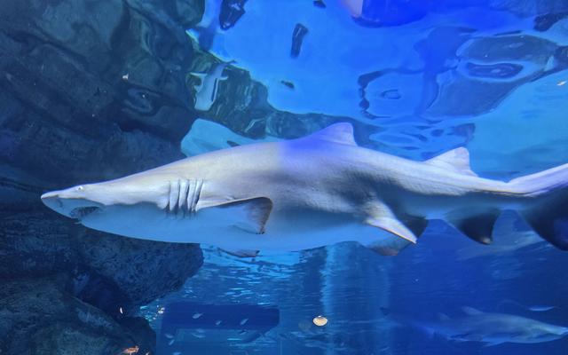 리뷰 대표 이미지