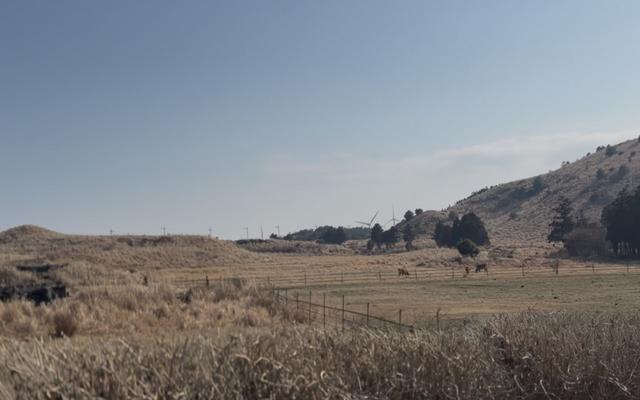 리뷰 대표 이미지