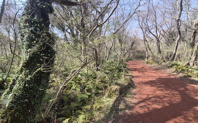 리뷰 대표 이미지