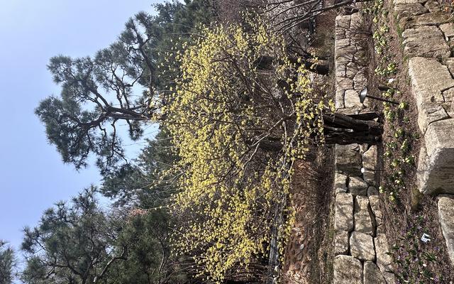 리뷰 대표 이미지