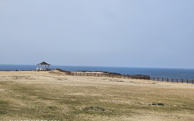 리뷰 대표 이미지