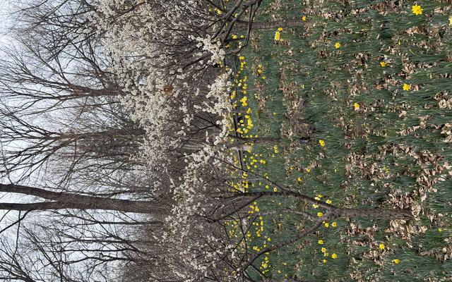 리뷰 대표 이미지