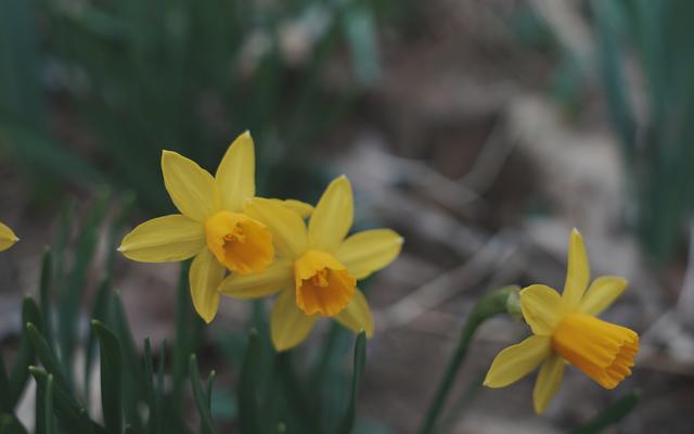 리뷰 대표 이미지