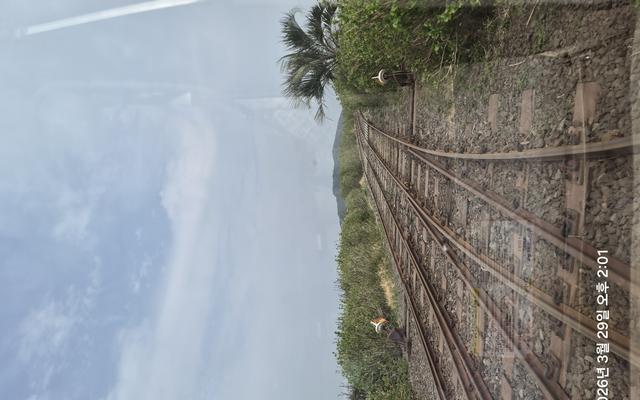 리뷰 대표 이미지