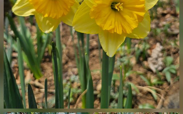 리뷰 대표 이미지