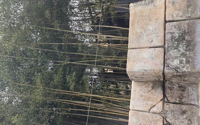 리뷰 대표 이미지