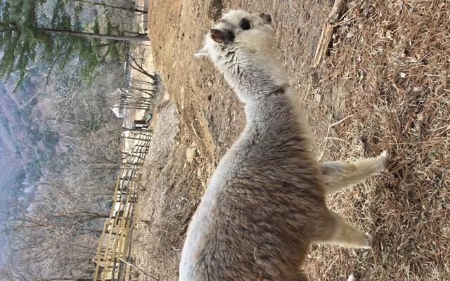 리뷰 대표 이미지