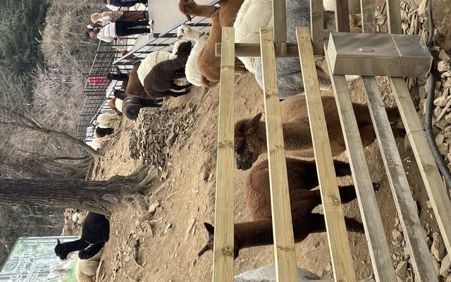 리뷰 대표 이미지