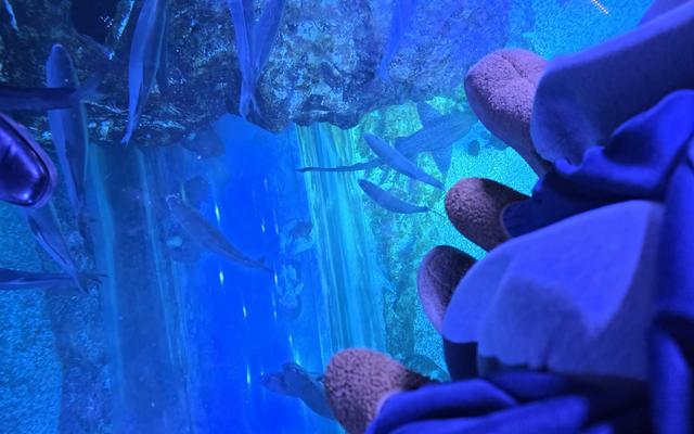 리뷰 대표 이미지