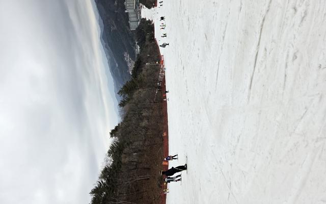 리뷰 대표 이미지