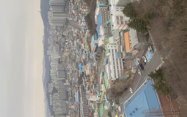 리뷰 대표 이미지