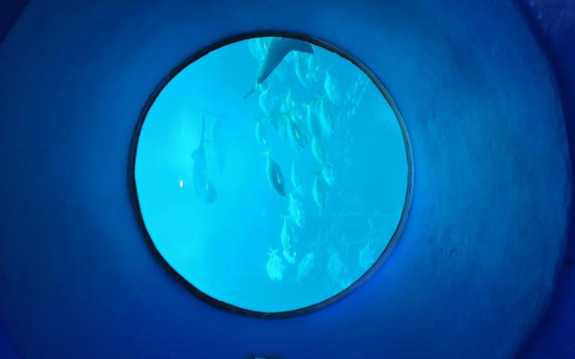 리뷰 대표 이미지