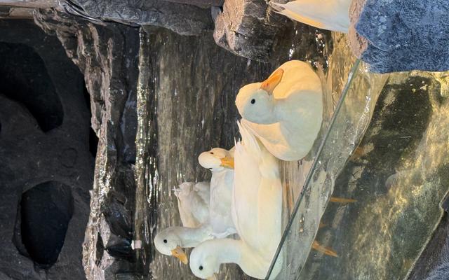 리뷰 대표 이미지