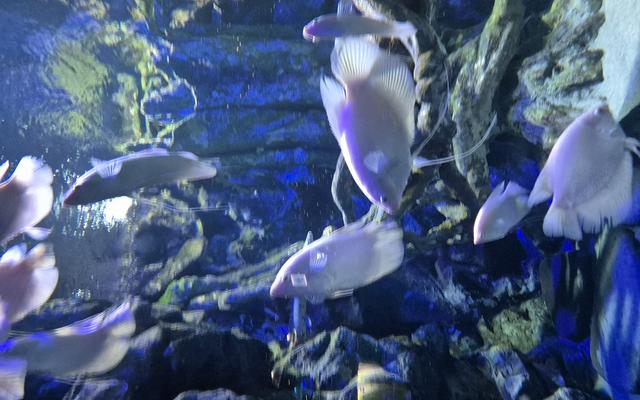 리뷰 대표 이미지