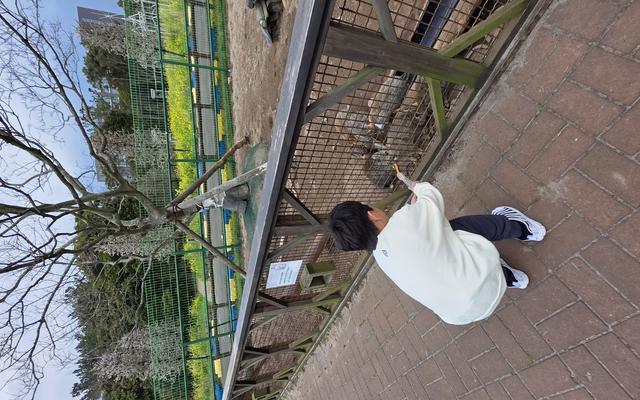 리뷰 대표 이미지