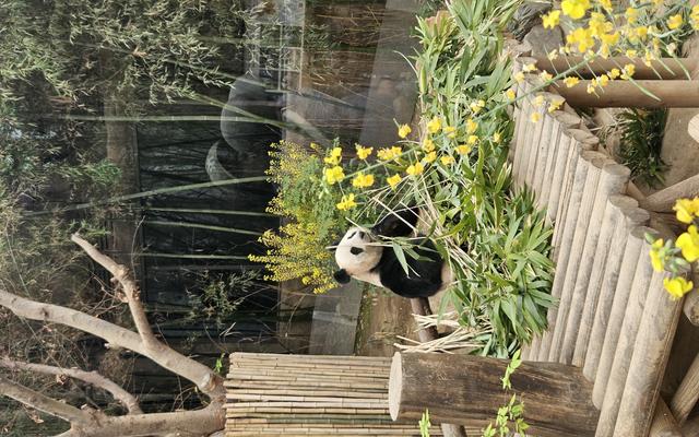 리뷰 대표 이미지