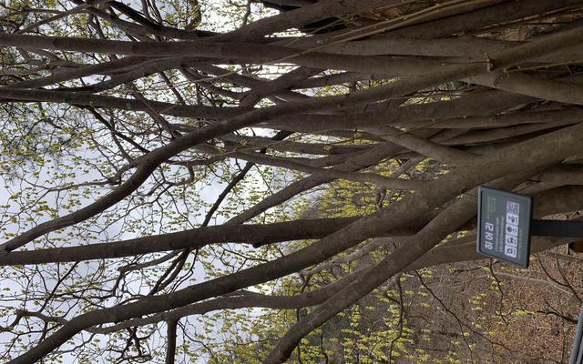 리뷰 대표 이미지