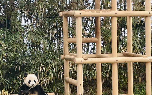 리뷰 대표 이미지