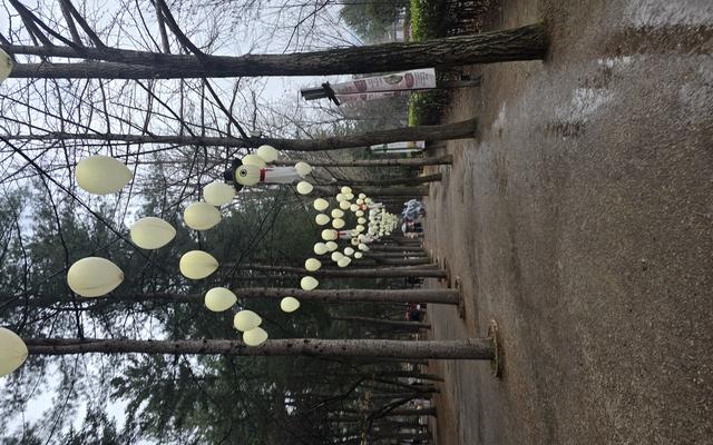 리뷰 대표 이미지