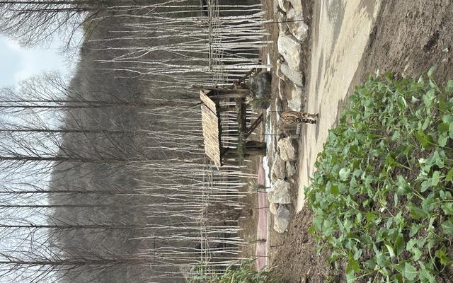 리뷰 대표 이미지