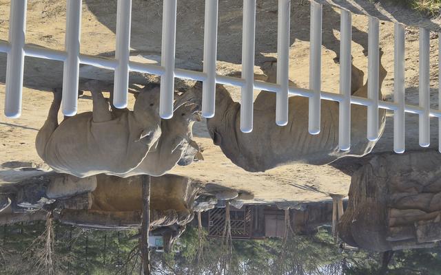 리뷰 대표 이미지