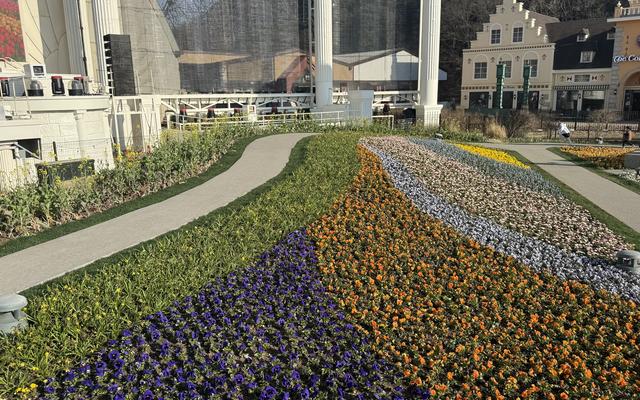 리뷰 대표 이미지