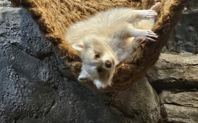 리뷰 대표 이미지