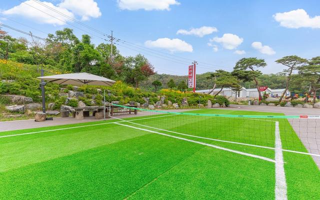 강화도 저어새펜션