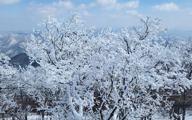리뷰 대표 이미지