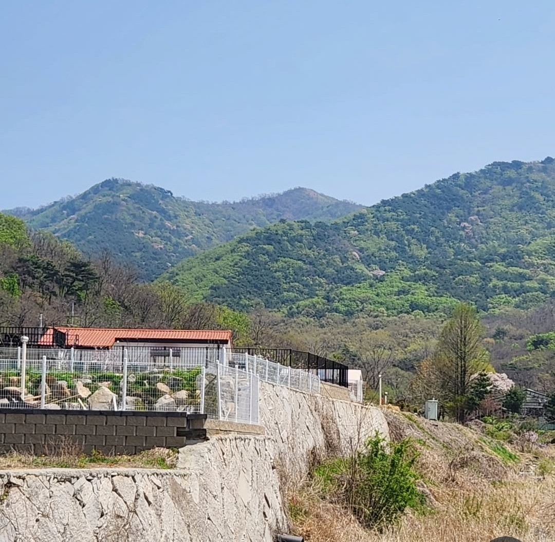 https://yaimg.yanolja.com/v5/2026/04/06/05/69d34829524165.91625512.jpg