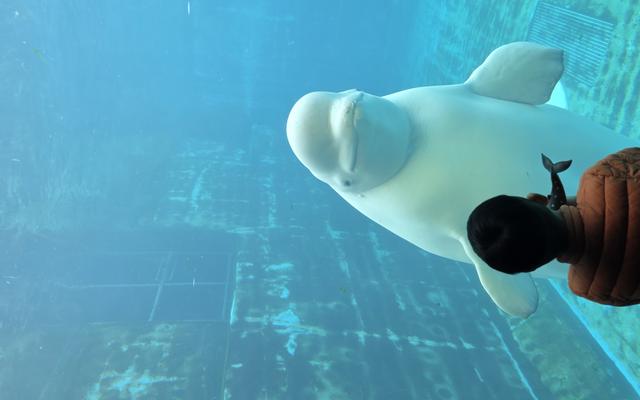 리뷰 대표 이미지